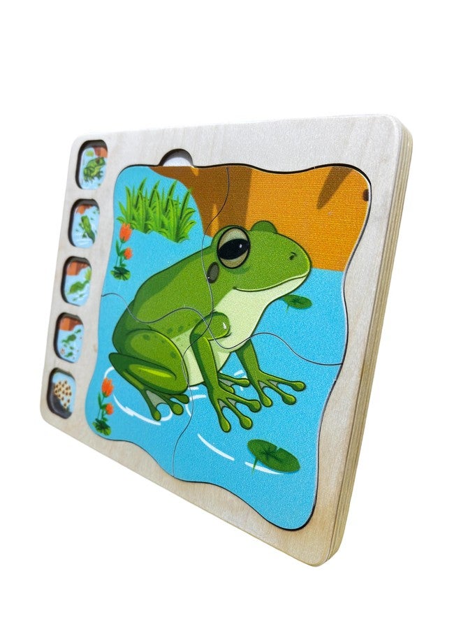 Kinder Creative Peg Number Ring Counting Set,3 Letter Word Puzzles,Frog Life Cycle Layering Puzzle, Educational Puzzle and Toys for Kids Pack of 3 - Image 5